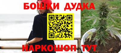 стаф Гусиноозёрск