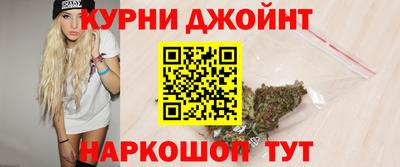 крисы Моздок