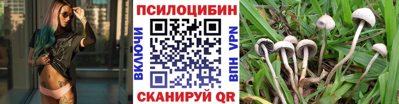 KRAKEN рабочий сайт  Коммунар  даркнет Telegram  Галлюциногенные грибы ЛСД 
