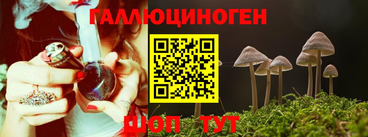 Галлюциногенные грибы мухоморы  Псилоцибиновые грибы мицелий  Вход с VPN  купить закладку  Коммунар 